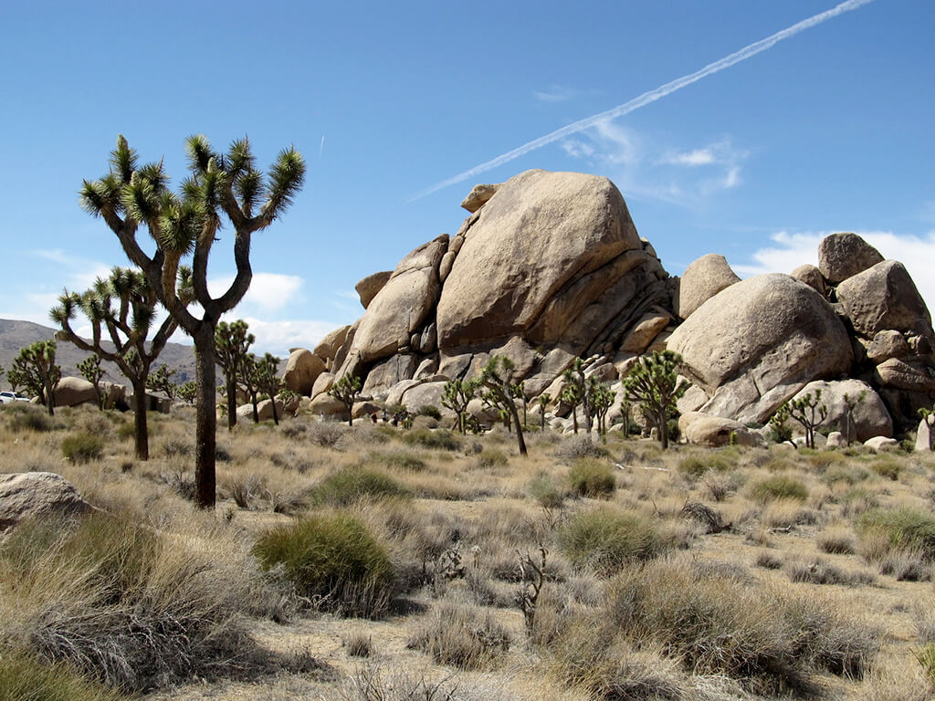 Quando Ir para Parque Nacional de Joshua Tree? a Melhor época Tempo e