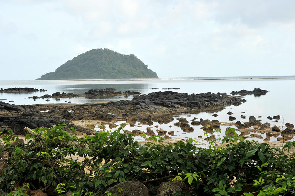 Taveuni Em Fevereiro 2025 - Clima, Tempo E Temperatura Em Fevereiro ...